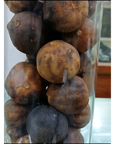 dhoop limbu-T65