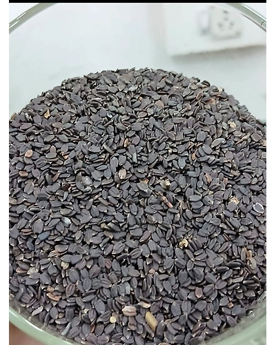 Lotus seeds (Tal makhna)-T66
