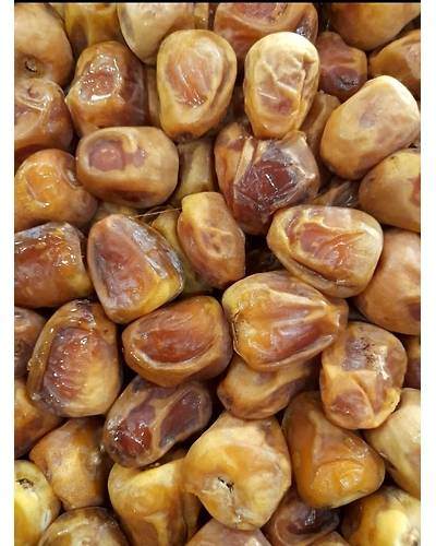 Sukkary khajur-T67
