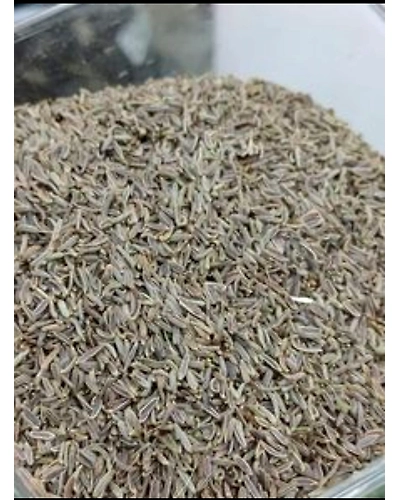 Comb Seeds (Kange Ke  Beej)-T82