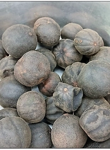 Black Lemon