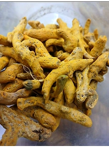 Barik Haldi