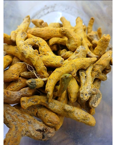 Barik Haldi-T80