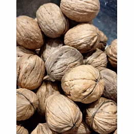 tayyibaat walnut shell (akhrot shell)