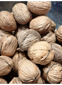 Walnut Shell (Akhrot shell)