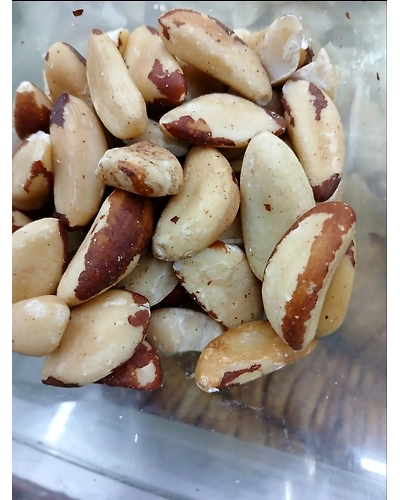 Brazil Nuts-T99