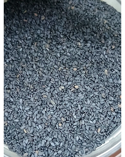 Black Sesame seeds (kali til)-T100