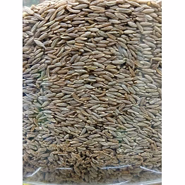 tayyibaat cumin seeds (zeera)