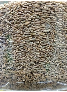 Cumin Seeds (Zeera)