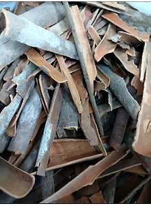Cinnamon Regular (Dalchini)