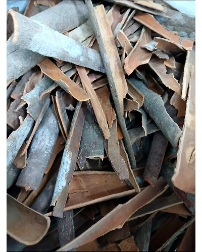 Cinnamon Regular (Dalchini)-T109