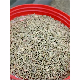 tayyibaat fennel seeds (barik sounf)