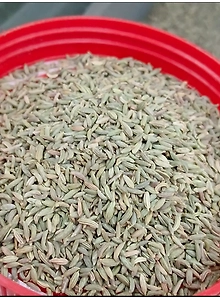 Fennel seeds (Barik Sounf)