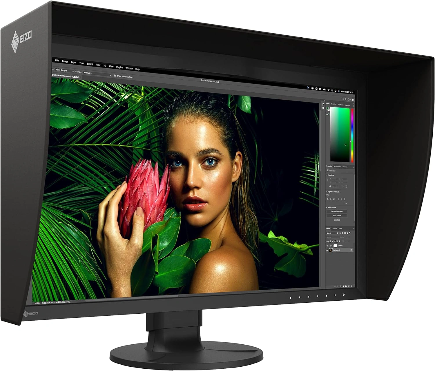 Eizo ColorEdge CG2700S-BK 27&quot; Class WQHD LCD Monitor - 16:9 - Black-CG2700S