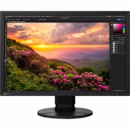 eizo coloredge cs2400s 24.1