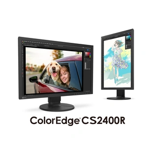 EIZO CS2400R Color Management LCD Monitor
