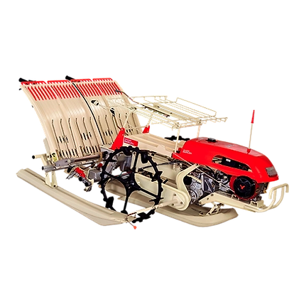 RICE TRANSPLANTER - 4 ROW-12289242