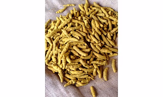 Turmeric Finger