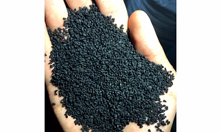 Nigella Seeds