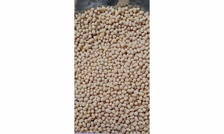URAD DAL