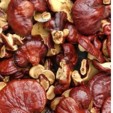 Ganoderma Lucidum/Reishi Fruiting Body (Dried) 1Kg-1