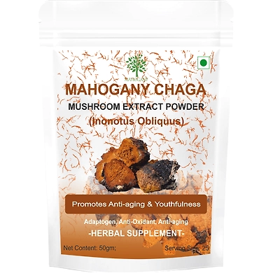 Chaga Mushroom