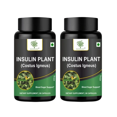 insulin plant