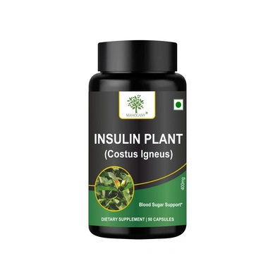 insulin plant