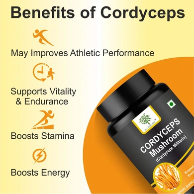 health benefits of cordycpes