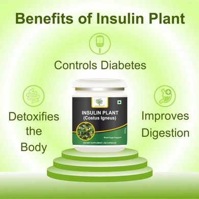 health benefits of insulin plant