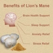 lions mane health benefits-sm