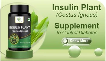 insulin plant powder