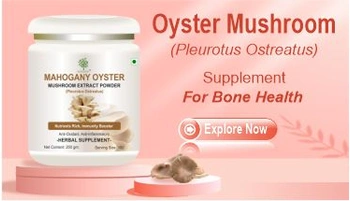 oyster mushroom powder