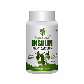 insulin plant capsule