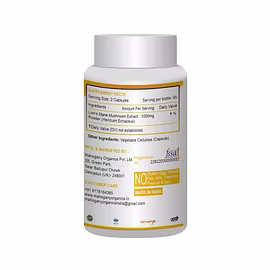 Lion's Mane Mushroom Extract Capsules