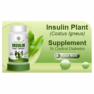 Mahogany Insulin Plant Capsules-268882-ai-catalog-f8005c14