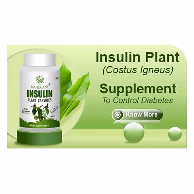 mahogany insulin plant capsules