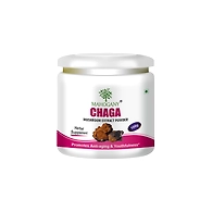 Chaga Mushroom