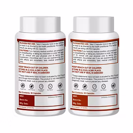 reishi mushroom capsules