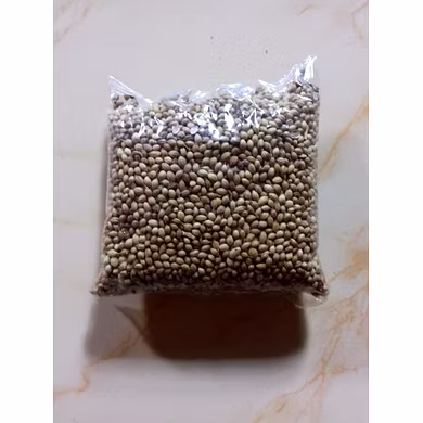 Gota Dhania-SDBR_769042_BR1120_GDDT_1
