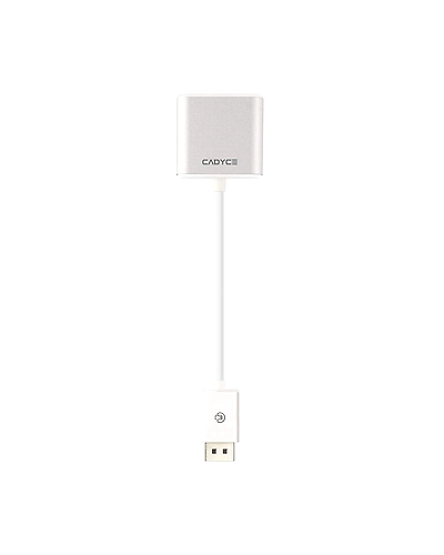 DisplayPort to VGA Adapter-1