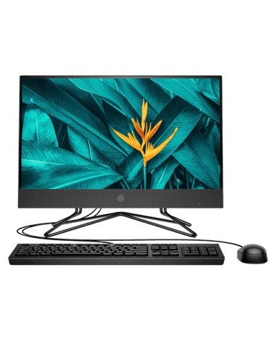 HP 205 G4 22 All-in-One PC-1N4D6PA
