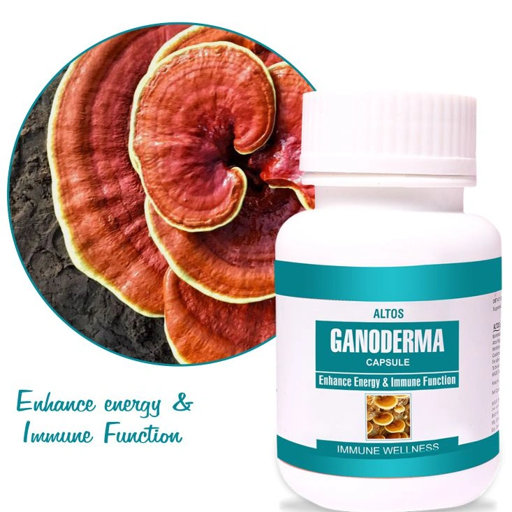 Ganoderma Capsule-ALT013