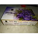 Incense Sticks -Lavender perfume 500gm pkt-NKBR_768224_BR1117_ISLP_1-sm