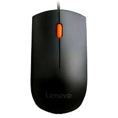 Lenovo 300 GX30M39704 Wired USB Mouse (Black)-1