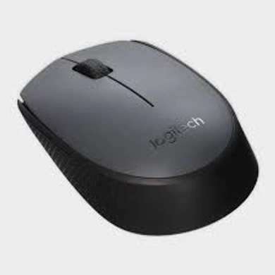Logitech Wireless Mouse M171-1