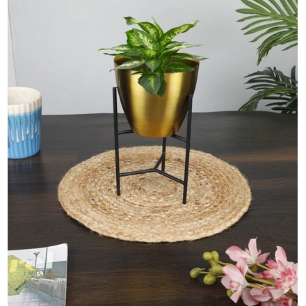 Tapen Gold Desk Metal Planter without plants-TaperGoldPlanter