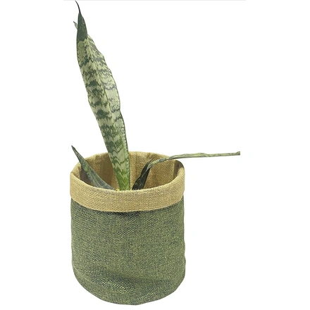 Jute Planter Pots/Storage- Olive Green-GREENJUTEPLANTER