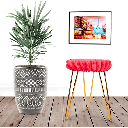 Red Rapid Fur Stool-RedRapidFur