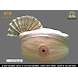S H A H I T A J Traditional Rajasthani Cotton Off-White Mewadi Bhagwan ki Pagdi Safa or Turban for God's Idol/Kids/Adults (MT134)-ST212_Mini-sm